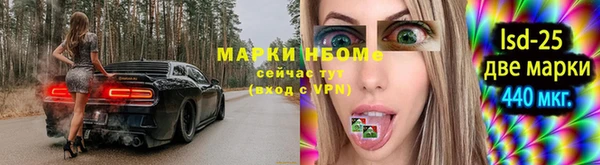 стаф Алексин